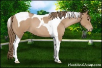 Horse Color:Black Pearl Tobiano 