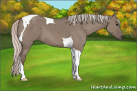 Horse Color:Silver Grullo Tobiano