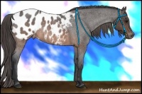 Horse Color:Brown Roan Blanket Rabicano 