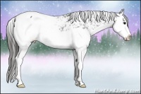 Horse Color:Black Splash Snowcap 
