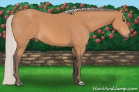 Horse Color:Silver Bay Mushroom 