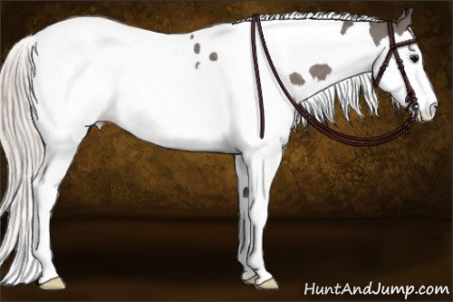 Horse Color: Silver Black Splash Tobiano 