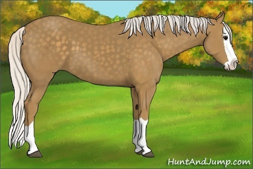 Horse Color: Silver Smoky Black Splash 