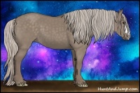 Horse Color:Silver Grullo 