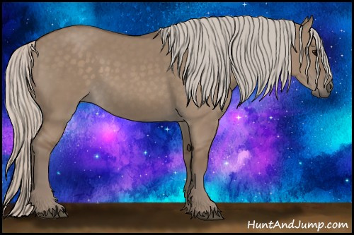 Horse Color: Silver Grullo 