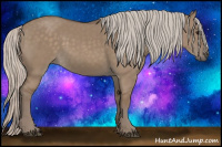 Horse Color:Silver Grullo 