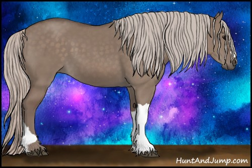 Horse Color: Silver Grullo 