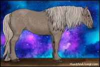 Horse Color:Silver Grullo 