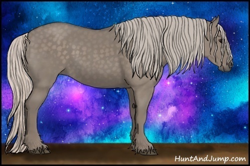 Horse Color: Silver Grullo 