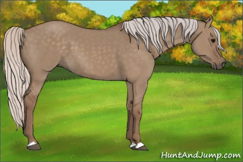 Horse Color: Silver Grullo 