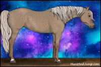 Horse Color:Silver Grullo 