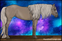 Horse Color:Silver Grullo 