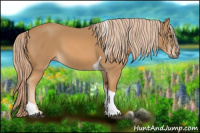 Horse Color:Chestnut Tobiano 