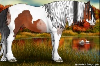 Horse Color:Bay Sabino Splash Tobiano 