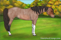 Horse Color:Bay Roan Tobiano 