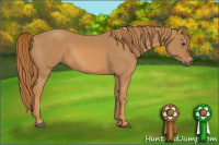 Horse Color:Chestnut Rabicano