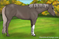 Horse Color:Silver Black 