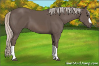 Horse Color:Silver Black 