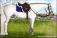 Horse Color:Gray Palomino