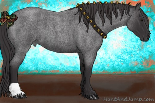 Horse Color: Smoky Blue Roan 