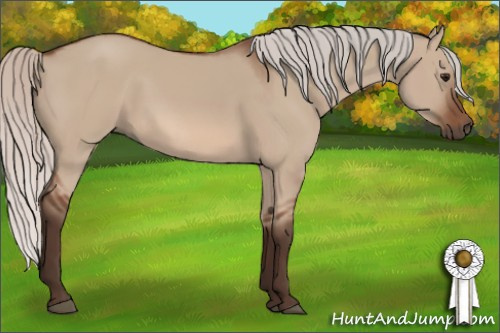 Horse Color: Silver Bay Dun 