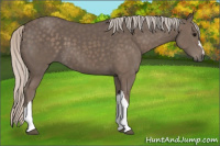 Horse Color:Silver Black 