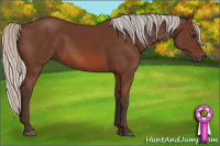 Horse Color:Silver Brown 