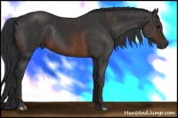 Horse Color:Brown Rabicano  Brindle
