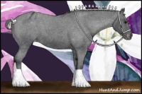 Horse Color:Blue Roan Varnish 
