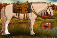 Horse Color:Gold Champagne