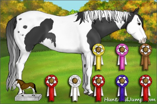 Horse Color: Black Splash Tobiano 