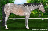 Horse Color:Brown Ice 