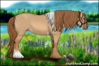 Horse Color:Red Dun Tobiano