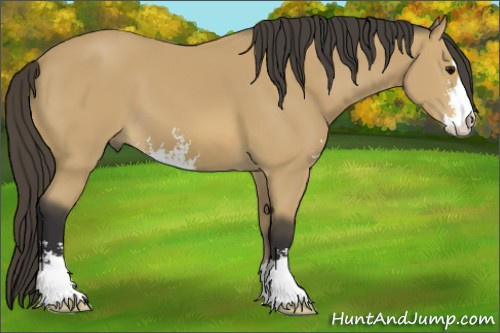 Horse Color: Buckskin Sabino 