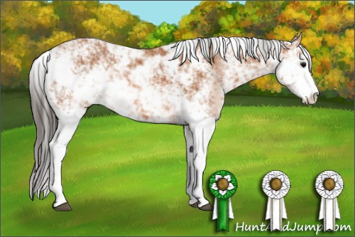 Horse Color: Bay Sabino 