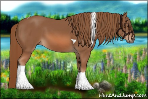 Horse Color: Chestnut Tobiano 