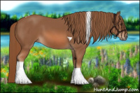 Horse Color:Chestnut Tobiano 