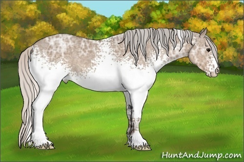 Horse Color: White Spotted Silver Grullo Ice Roan 