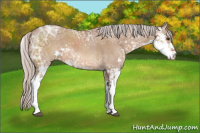 Horse Color:Silver Brown Ice Dun Sabino