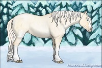 Horse Color:White Spotted Silver Buckskin Roan Pearl Dun Splash
