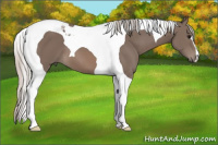 Horse Color:Silver Brown Tobiano 