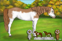 Horse Color:Chestnut Splash Frame 