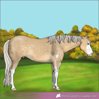 Horse Color:Silver Classic Cream Champagne Dun Sabino 