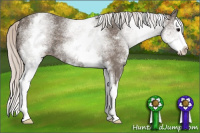 Horse Color:White Spotted Silver Brown Splash 