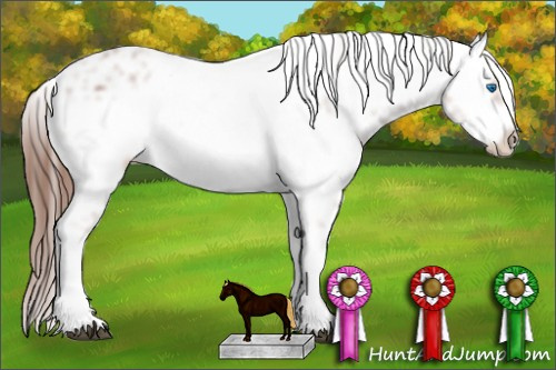 Horse Color: Liver Chestnut Frame 