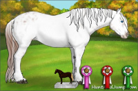 Horse Color:Liver Chestnut Frame 