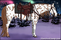 Horse Color:Liver Chestnut Near Leopard 