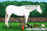 Horse Color:Grullo Roan Pearl Splash Tobiano Varnish 