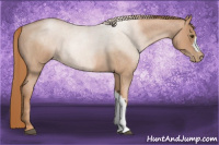 Horse Color:Liver Red Roan Pearl 