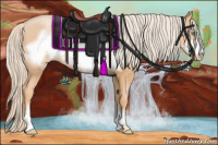 Horse Color:Chocolate Palomino Pearl Frame